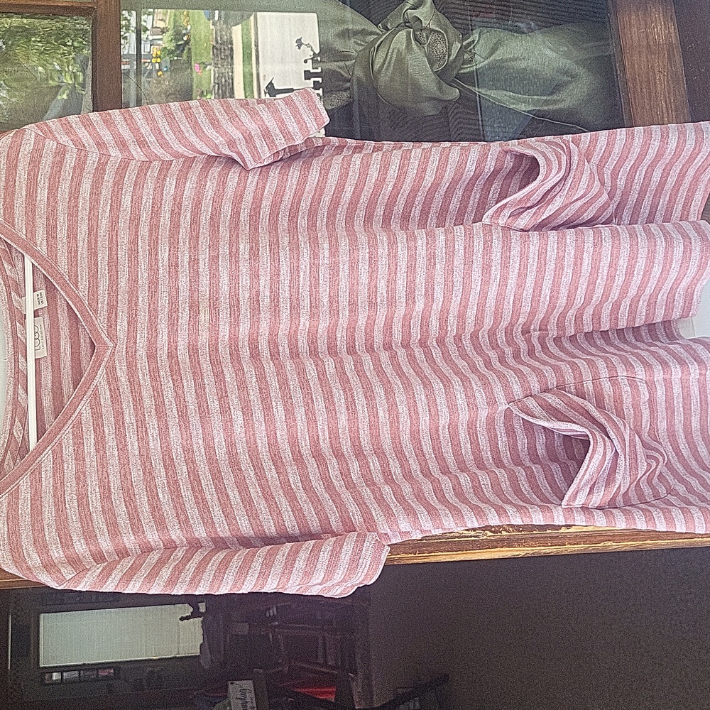 LOGO by Lori Goldstein Muted Pink Striped V-Neck Top XL